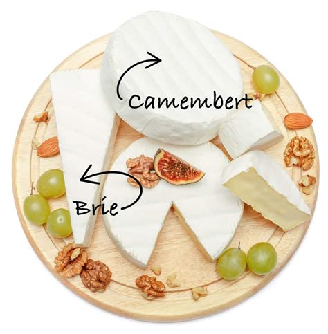 verschil brie en camembert.